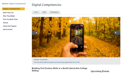 Screenshot of Digital Competencies website